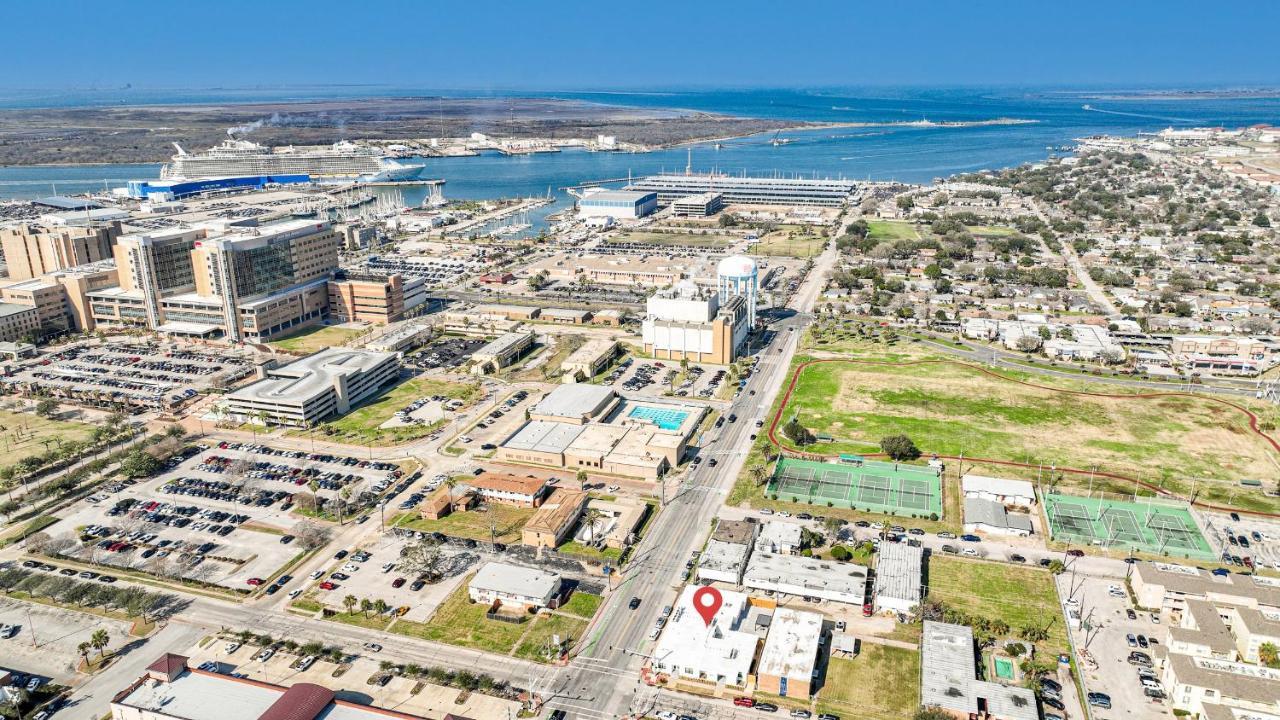 Tiger * Galveston